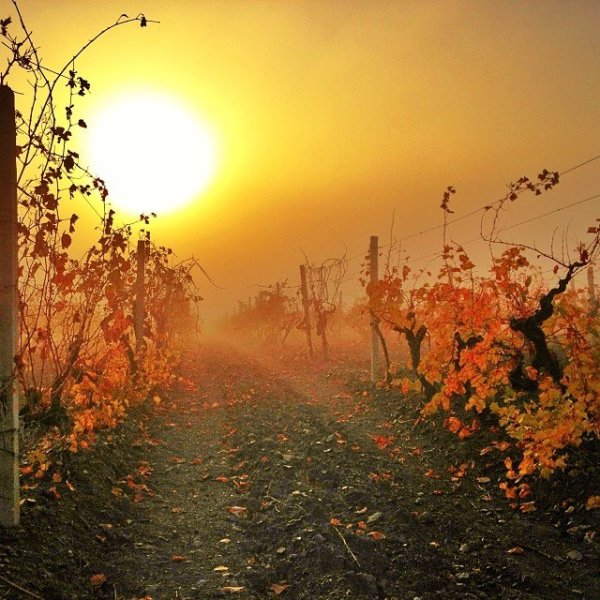 Крым осенний утро