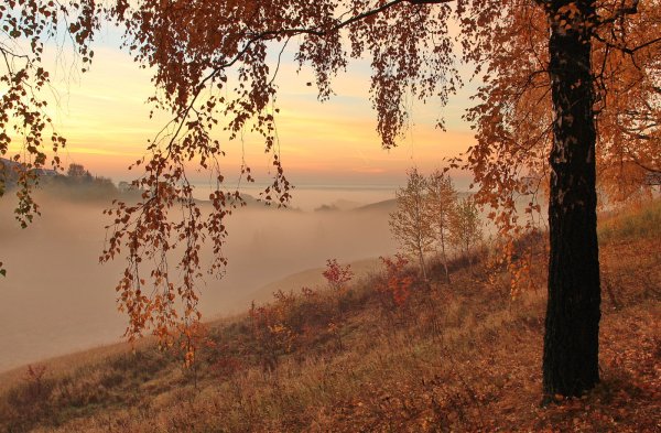 Осень в Рязанской области