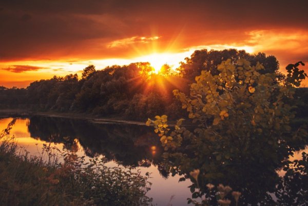 Осень закат