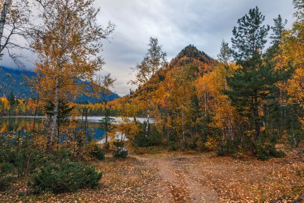 Тёплые озёра Выдрино осень