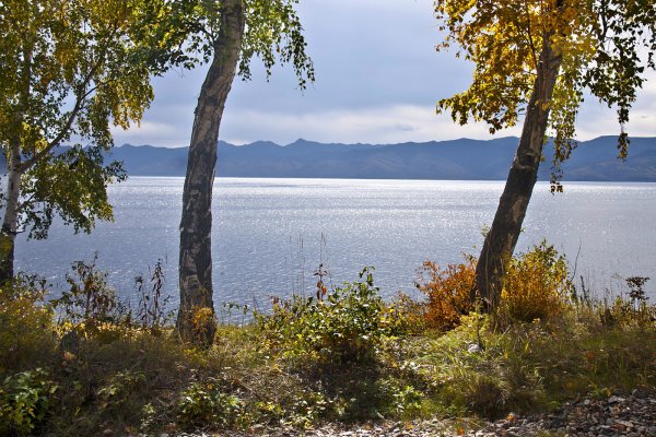 Октябрь Тайга Байкал