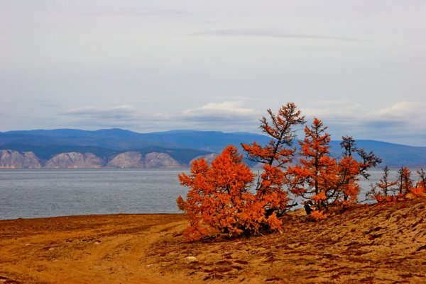 Байкал осень Ольхон