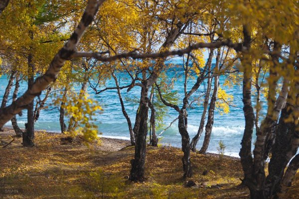 Золотая осень на Ольхоне