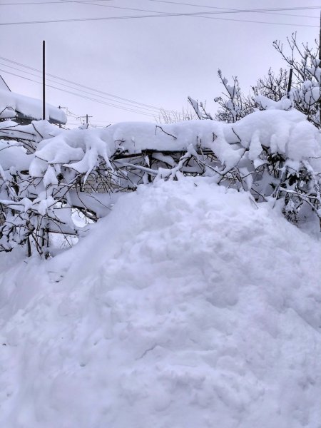 Огромная куча снега