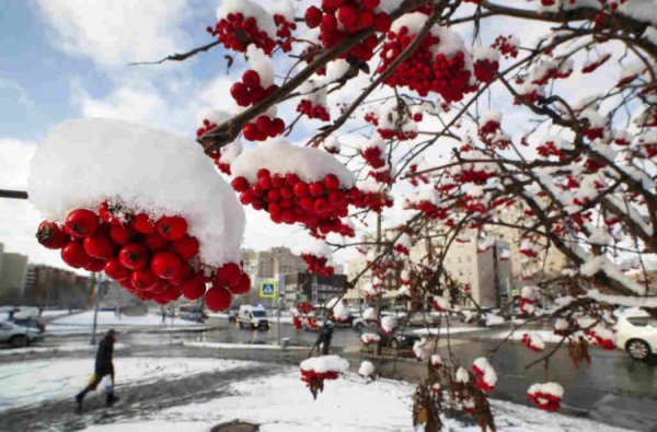 Первый снег в Москве