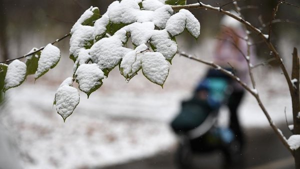 С первым снегом картинки