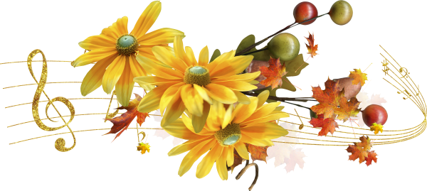 Школьный букет на прозрачном фоне