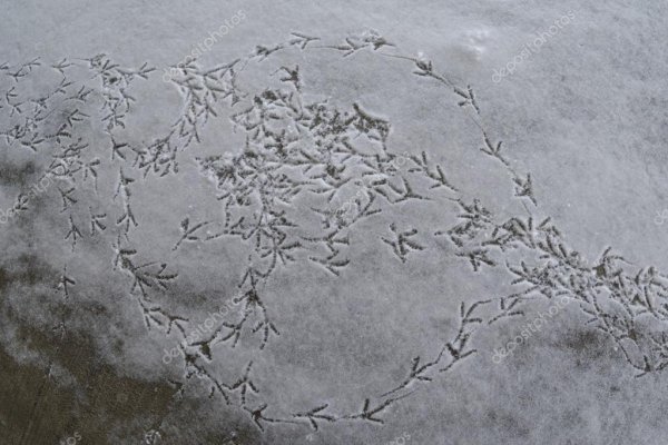 Птичьи следы на снегу