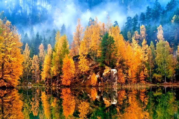 Лес осенью