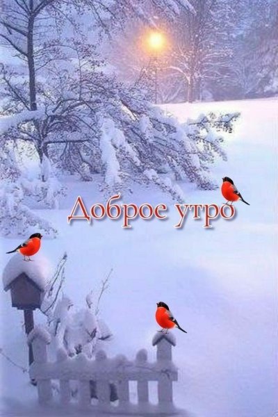 Февраль метель