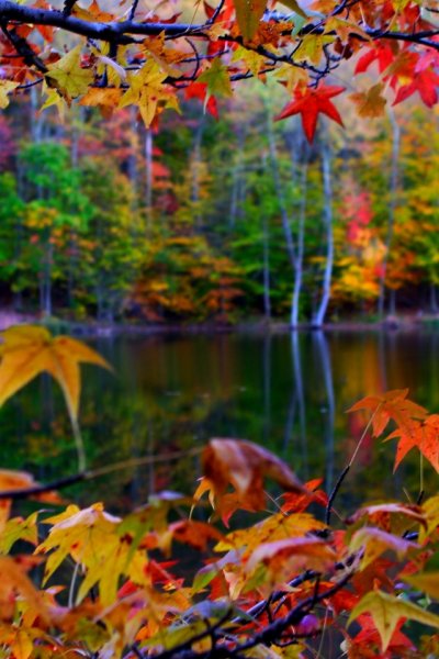 Осенний пейзаж