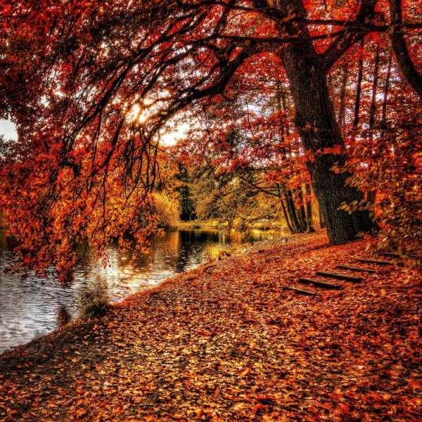 Осень вертикальные