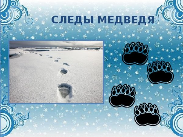 Следы медведя на снегу