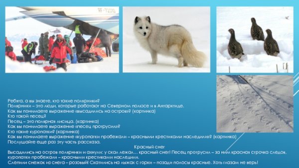 Кто такие полярники