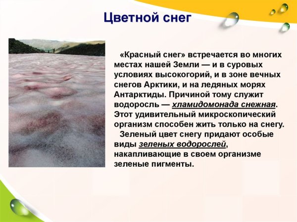 Сообщение о кровавом снеге