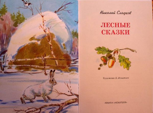 Лесные сказки Николай Сладкова Лесные сказки