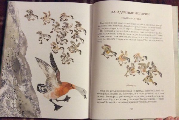 Н.Сладков загадочные истории