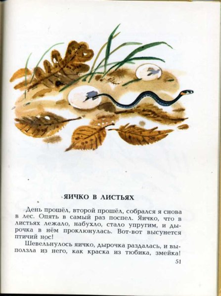 Николай Сладков загадочный зверь