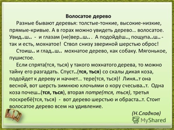 Н Сладков волосатое дерево