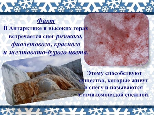 Факты о снеге для детей