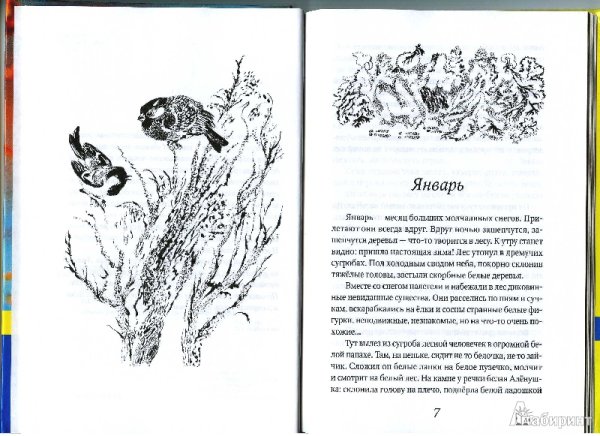 Иллюстрация к рассказу Лесные тайнички Николай Сладков