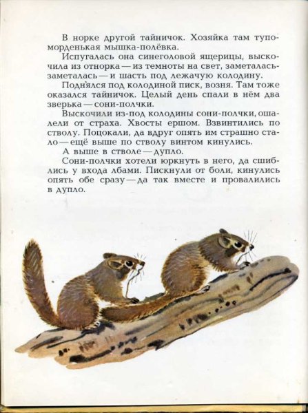 Николай Сладков загадочный зверь