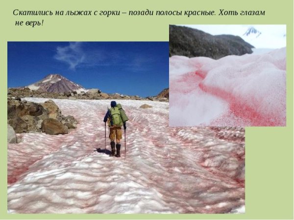 Скатились на лыжах с горки – позади полосы красные