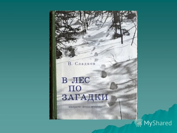 Сладков в лес по загадки