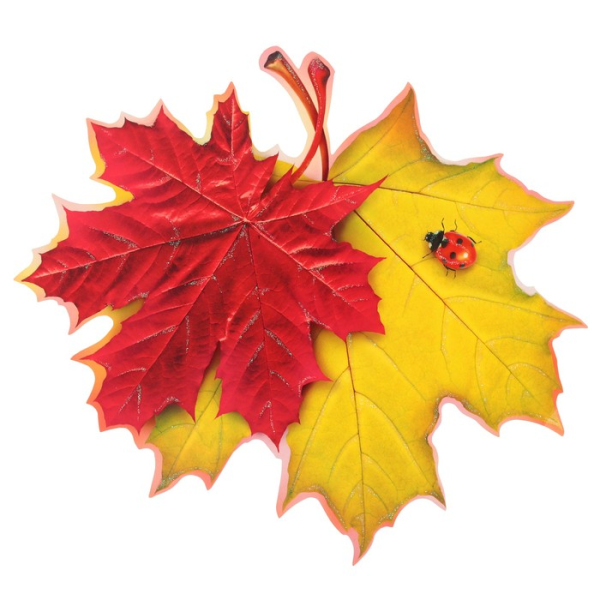 Красивые осенние листочки