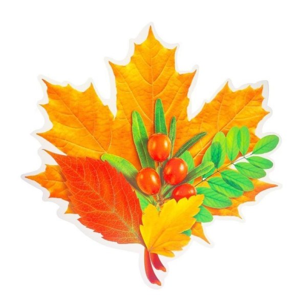 Букет осенних листьев