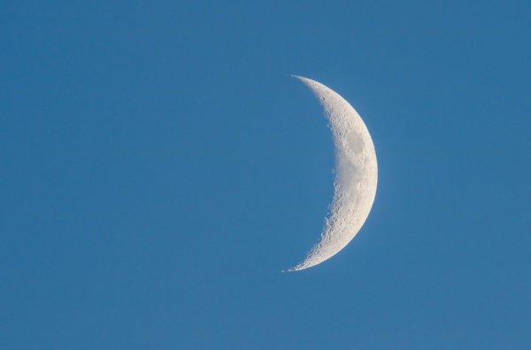 Новолуние 2022