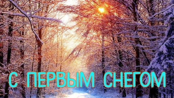 Открытки с первым снегом