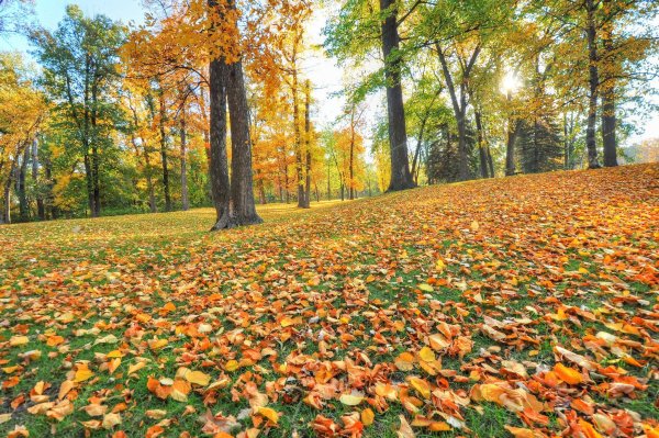 Осенняя Поляна