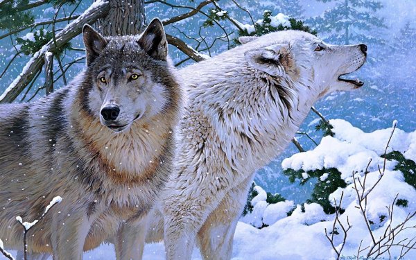 Красивые картинки волков на аву