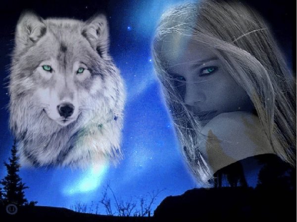 Одинокая волчица