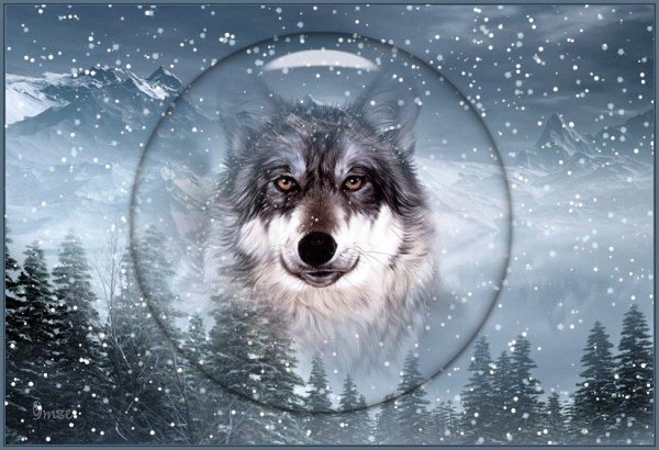 Волки зимой анимация