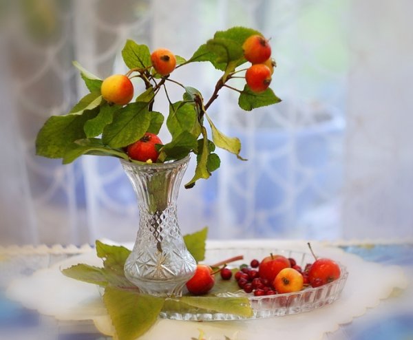 С воскресным днем осени