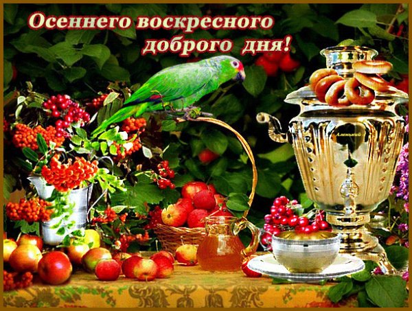 С добоымосенним утро воскресенья