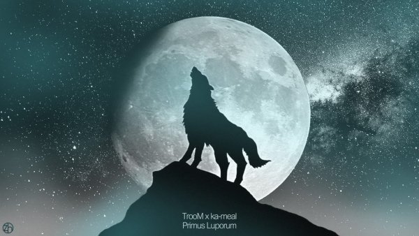 Голова волка воющего на луну