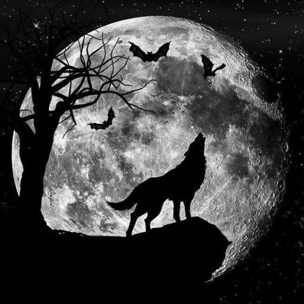 Волк и Луна