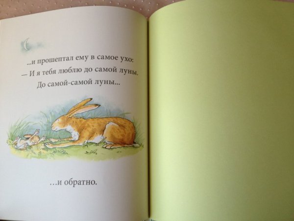 Я люблю тебя до Луны и обратно сказка