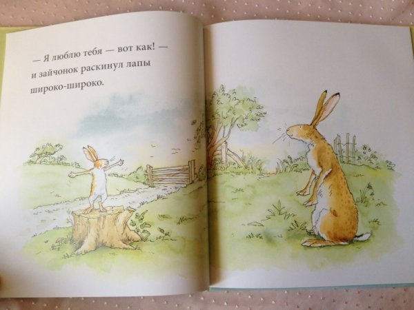 Я люблю тебя до самой Луны и обратно