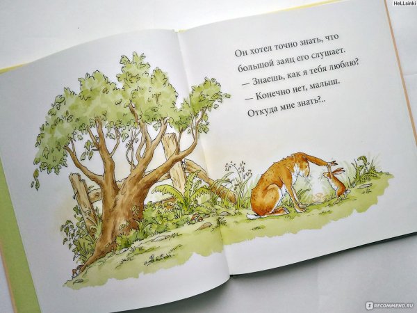 Я люблю тебя до Луны и обратно книга