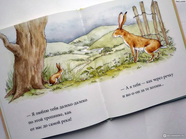 Я люблю тебя до Луны и обратно книга