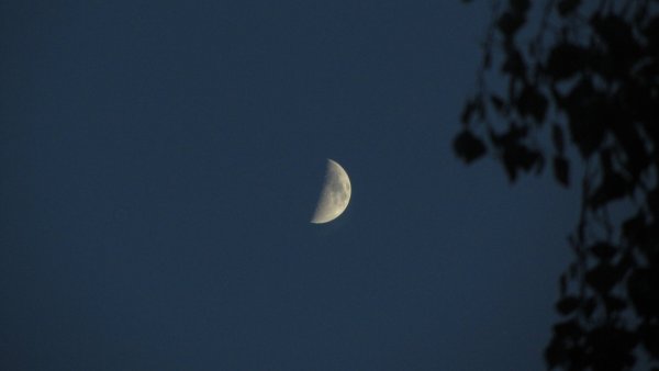 Растущая Луна на небе