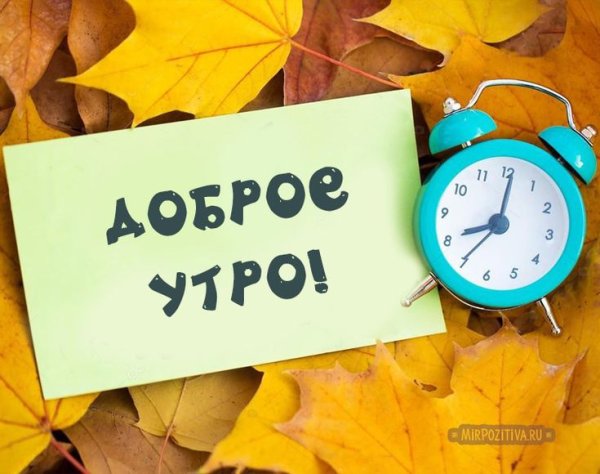 С добрым осенним утром прикольные