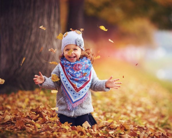 Доброе утро осень