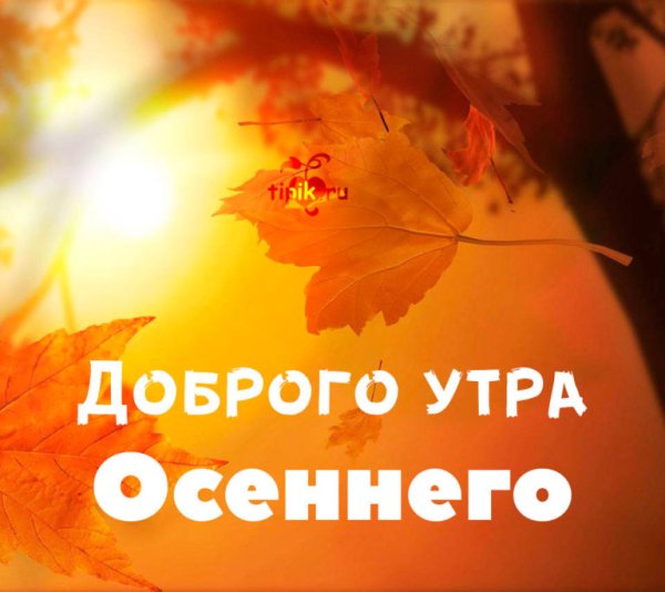 Доброе утро осень