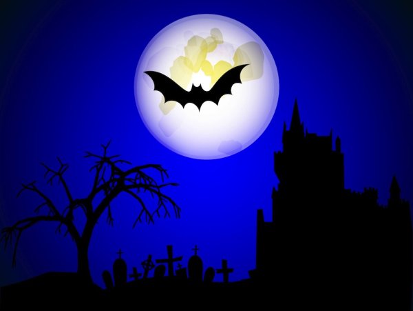 Летучая мышь ночью