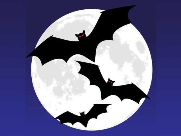 Летучие мыши на Хэллоуин